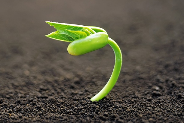 Healthy Soil — Healthy Nation